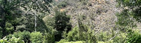 Trabuco Canyon Trail, California - 6 Reviews, Map | AllTrails