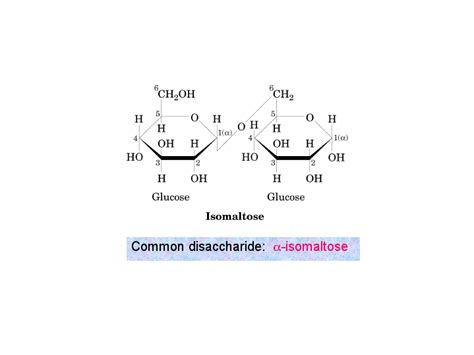 Structure Of Isomaltose