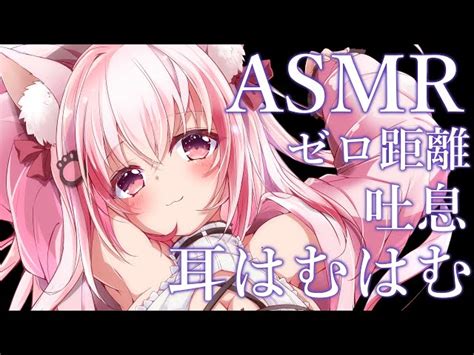 【asmr 3dio】ゼロ距離で貴方のお耳をいじめたい耳はむはむ タオル 囁き【桜神くおん Vtuber】 Kuon Ch 桜神くおん Asmrs