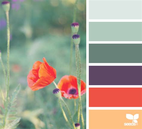 Color scheme inspiration from Design Seeds