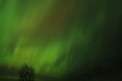 Aurora borealis images aurora borealis HD wallpaper and background ...