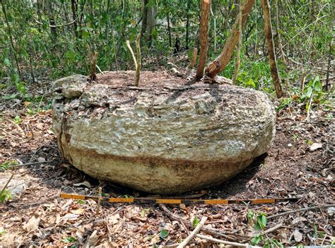 Ancient Maya City Discovered In Mexican Jungle Reuters