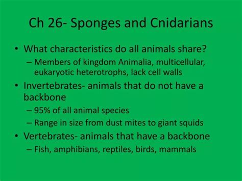 Ppt Ch 26 Sponges And Cnidarians Powerpoint Presentation Free