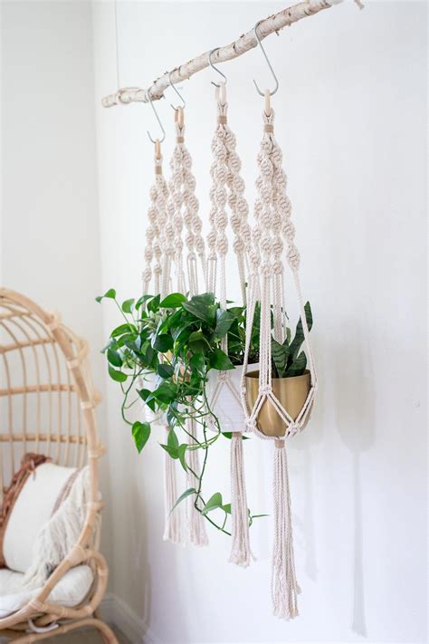 Bathroomplants Plant Stand Indoor Hanging Plants Diy Hanging