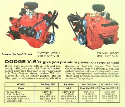 Poly 318 History And Myths