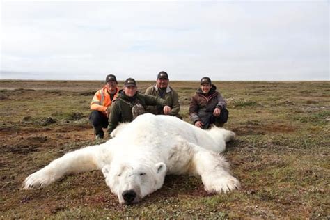 10-day CITES Polar Bear and Atlantic Walrus combination hunt in Nunavut ...