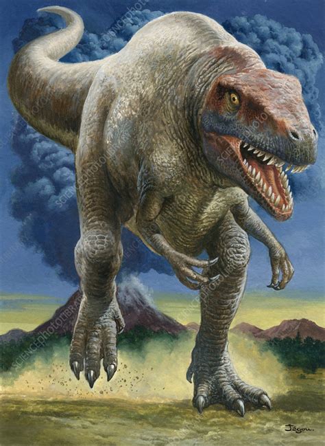 Megalosaurus Dinosaur Illustration Stock Image C0579351 Science Photo Library