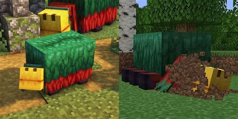 Minecraft Things You Need To Know About Sniffers