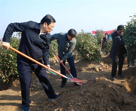 不负好春光丨市区两级四大班子领导带头义务植树澎湃号·媒体澎湃新闻 The Paper