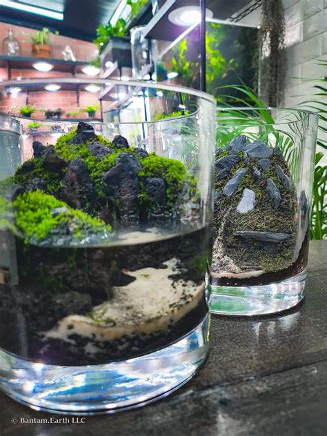 Making A Moss Terrarium Jar With Material Found Around The Yard