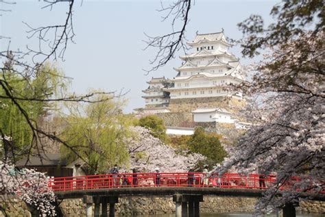 世界遺産 姫路城周辺の撮影スポット 桜との写真 アラフォー、旅に出る