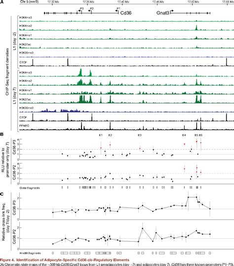 Figure 1 From Comparative Epigenomic Analysis Of Murine And Human