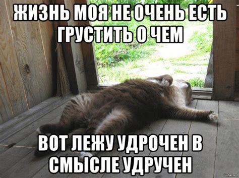 Michel: 1 photo: