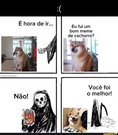 É hora de ir Eu fui um bom meme de cachorro Você foi o melhor