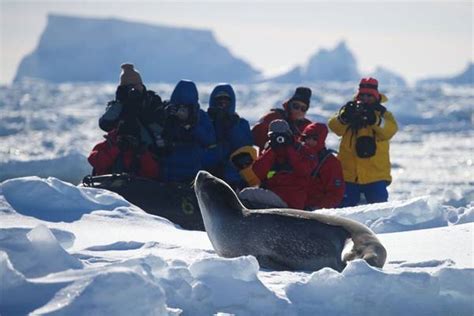 Antarctica Beyond The Polar Circle Wilkins Ice Shelf Aurora