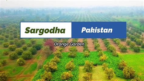 Sargodha Ajnala Pakistan Orange Garden Youtube