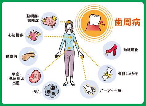 歯科医療の現場から お口の健康と全身の健康の関係お口と全身の健康を学べるwebマガジン｜日本歯科医師会