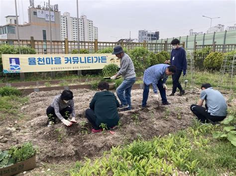 수원시 장안구 율천동 행정복지센터 옥상에 ‘율천마을 커뮤니티 가든 조성