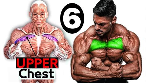 Best 6 Exercises Upper Chest Workout 🔥 6个最好的胸大肌上部训练 Youtube