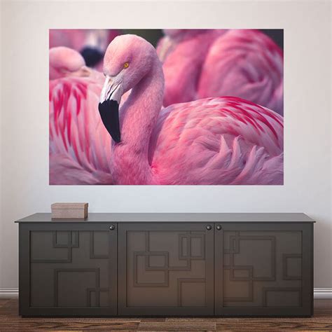 Painel Adesivo De Parede Flamingos Animais 1693pnp Black Friday