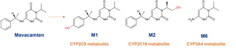 Metabolism Of Fda Approved Small Molecule Drugs Part Hypha