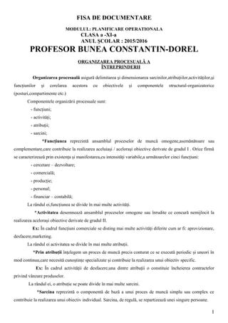 Bunea Dorel Organizarea Procesuala Pdf