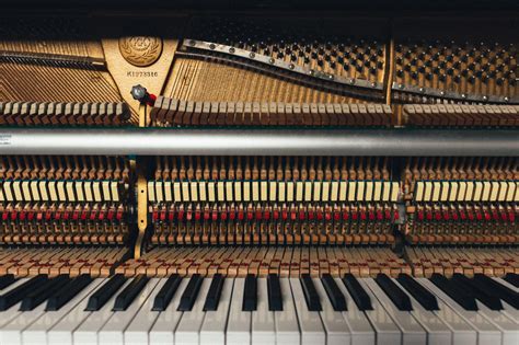 Todo Sobre La Cultura Del Piano Superprof