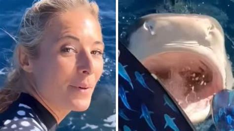 Ocean Ramseys Close Encounter With Shark Goes Viral Nccrea