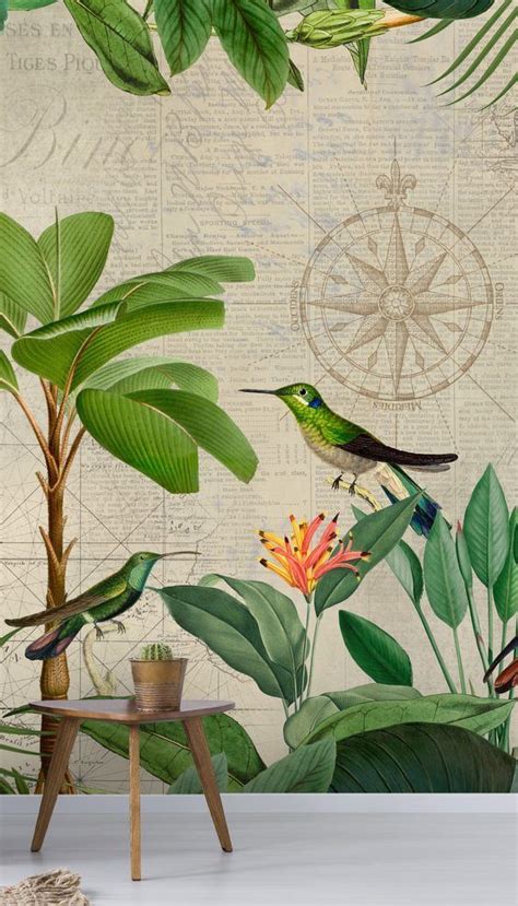 Tropical Journey Birds Wallpaper By Andrea Haase Wallsauce Us