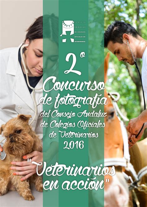 “veterinarios En Acción” Tema Del Ii Concurso De Fotografía Del Consejo Andaluz De Colegios