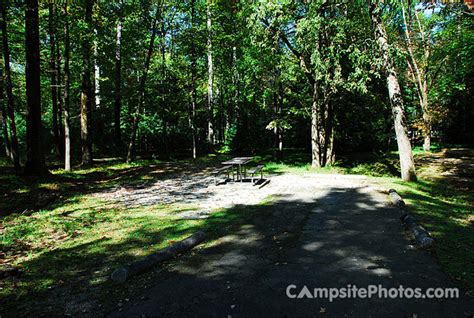 Cades Cove - Campsite Photos, Campsite Availability Alerts & Info