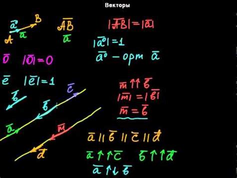 §1 Векторы - YouTube