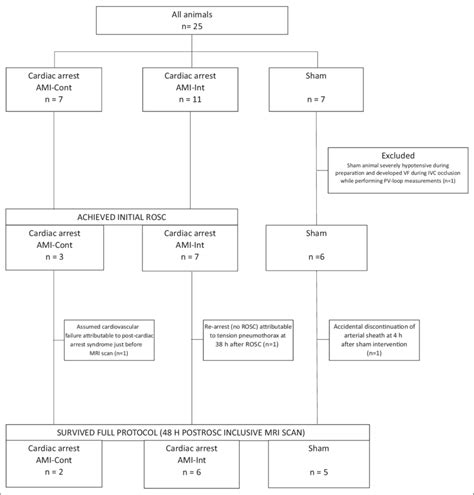 Flowchart Of The 3 Groups Ami Cont Indicates Cardiac Arrest Group With