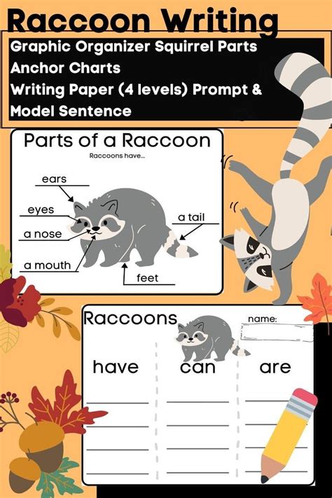 Raccoon Writing And Labeling Informative Have Can Are W Anchor Charts Anchor Charts