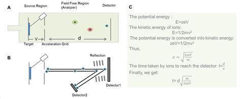 MALDI-TOF Mass Spectrometry - Creative Proteomics