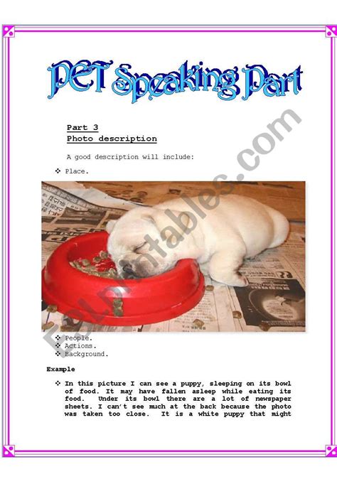 Pet Photo Description Esl Worksheet By Claudia Tournier