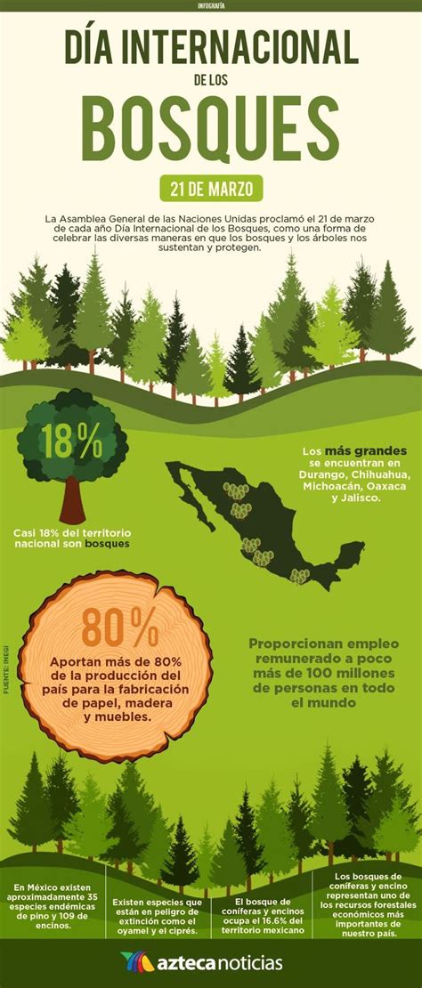 Dia Internacional De Los Bosques Infografia Google Search