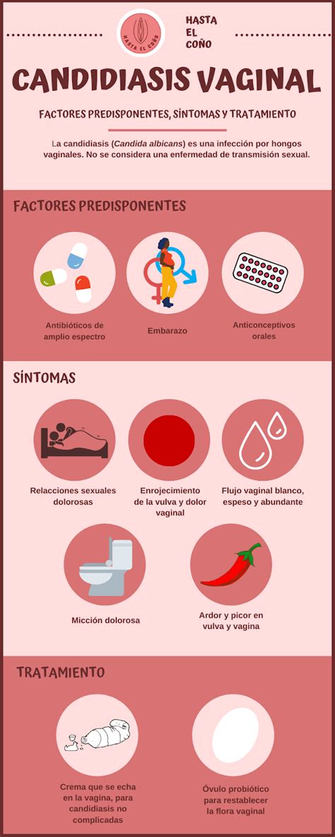 ¿cÓmo Prevenir La Candidiasis