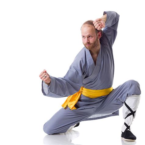 40+ Shaolin Kung Fu Stances Stock Photos, Pictures & Royalty-Free Images - iStock