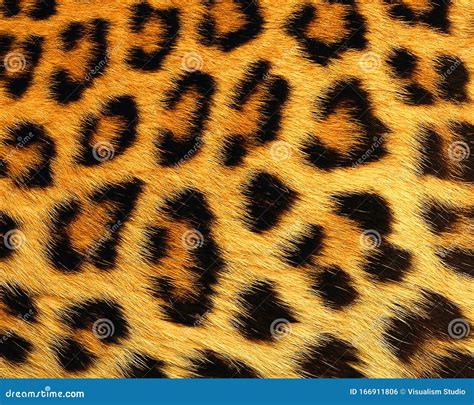 Leopard Skin Pattern Texture Repeating Monochrome Texture Animal Prints