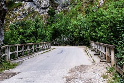 Sohodol Gorges Stock Photo Image Of Landmark Forestry 258552194