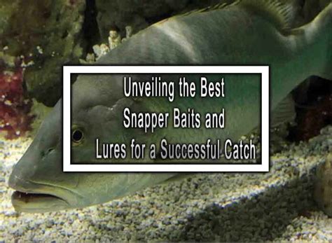 Unveiling The Best Snapper Baits And Lures For A Successful Catch