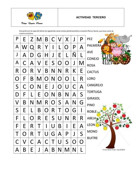 Flora Y Fauna Worksheet