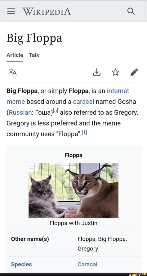 Wikipedia Q Big Floppa Article Talk Ww And Big Floppa Or Simply Floppa