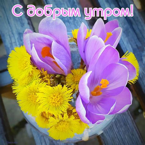 Красивые летние картинки "С добрым утром!" (100 фото) 🔥 BipBap.ru