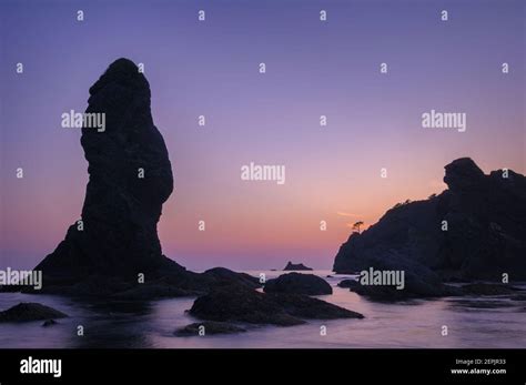 Sea Stacks At Shi Shi Beach And Point Of Arches In Olympic National