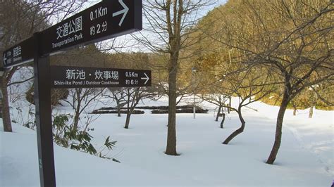 【動画】残雪の五智公園 光の春感じて 上越妙高百景 上越妙高タウン情報