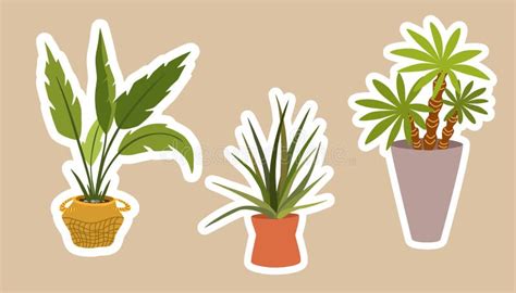 House Plants Stickers Set Of Hygge Tropical Patee Succulent Plants