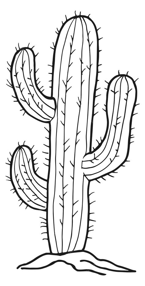 Premium Vector Cactus Sketch Desert Plant With Sharp Thorns