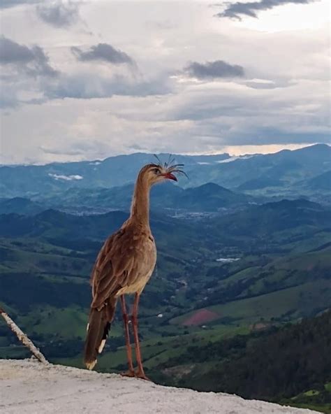 Casa Nas Nuvens Leonardo Bueno No Instagram Outro Presente Da